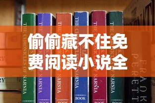 偷偷藏不住免费阅读小说全集  第1张