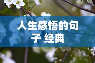 人生感悟的句子 经典  第1张