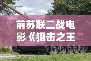 前苏联二战电影《狙击之王》免费观看  第1张