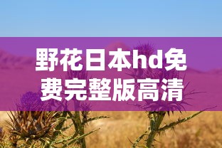 野花日本hd免费完整版高清版的功能  第1张