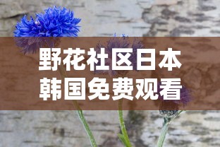 野花社区日本韩国免费观看软件的优点  第1张