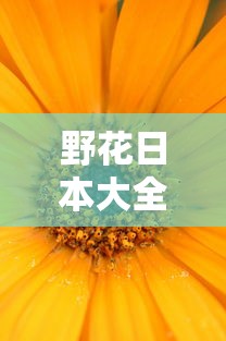 野花日本大全免费观看3中文高清版  第1张