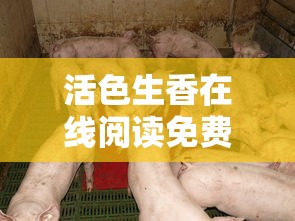 活色生香在线阅读免费 作者小猪  第1张