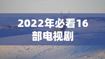2022年必看16部电视剧  第1张