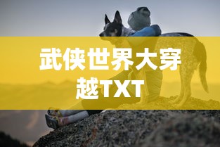 武侠世界大穿越TXT  第1张