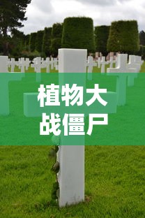 植物大战僵尸原版下载中文版  第1张