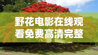 野花电影在线观看免费高清完整版中文  第1张