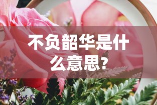 不负韶华是什么意思?  第1张