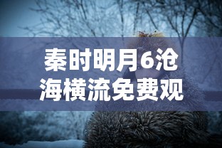 秦时明月6沧海横流免费观看完整版  第1张