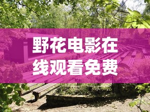 野花电影在线观看免费720_第01集  第1张