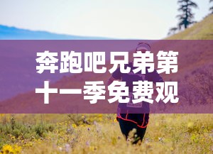 奔跑吧兄弟第十一季免费观看全集高清  第1张