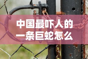 中国最吓人的一条巨蛇怎么画  第1张