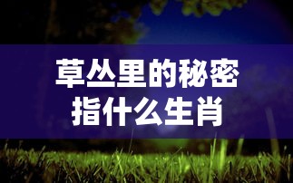 草丛里的秘密指什么生肖  第1张