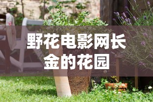 野花电影网长金的花园  第1张