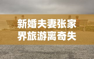新婚夫妻张家界旅游离奇失踪  第1张