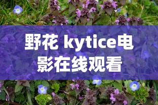 野花 kytice电影在线观看  第1张