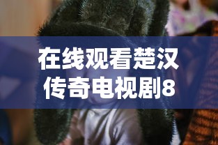 在线观看楚汉传奇电视剧80集全免费播放  第1张