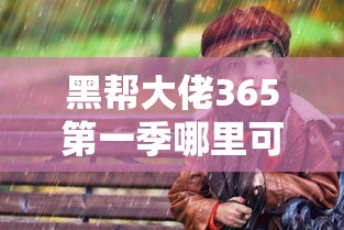黑帮大佬365第一季哪里可以看  第1张