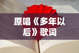 原唱《多年以后》歌词  第1张