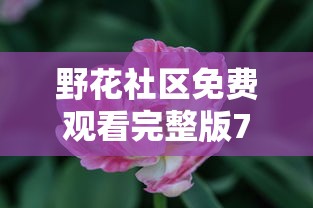 野花社区免费观看完整版7  第1张