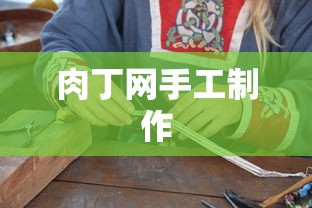 肉丁网手工制作  第1张