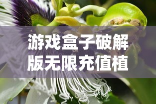 游戏盒子破解版无限充值植物大战僵尸  第1张