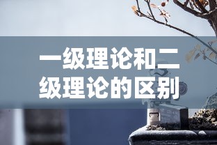 一级理论和二级理论的区别和联系  第1张