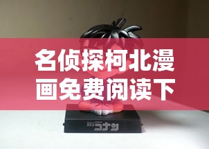名侦探柯北漫画免费阅读下拉式  第1张