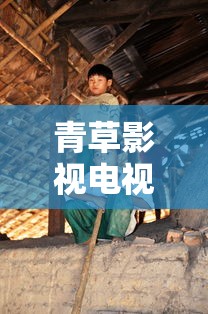 青草影视电视剧免费播放在线观看  第1张