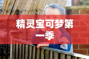 精灵宝可梦第一季  第1张