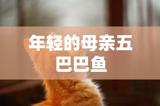 年轻的母亲五巴巴鱼  第1张