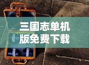 三国志单机版免费下载  第1张