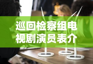 巡回检察组电视剧演员表介绍  第1张