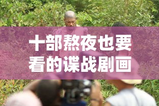 十部熬夜也要看的谍战剧画质好  第1张