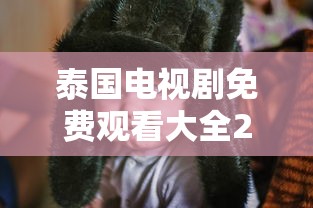 泰国电视剧免费观看大全2020年  第1张