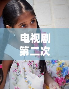 电视剧第二次也很美剧情介绍  第1张