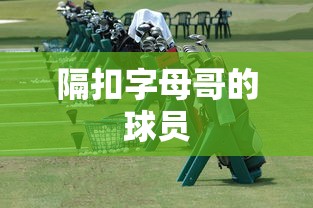 隔扣字母哥的球员  第1张