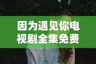 因为遇见你电视剧全集免费  第1张