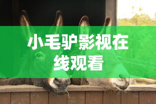 小毛驴影视在线观看  第1张