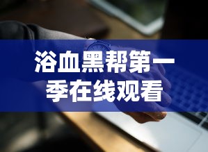 浴血黑帮第一季在线观看高清版  第1张