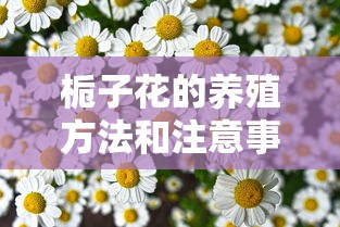 栀子花的养殖方法和注意事项  第1张