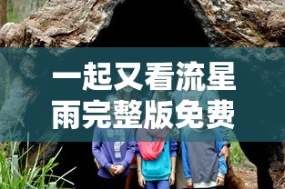 一起又看流星雨完整版免费  第1张