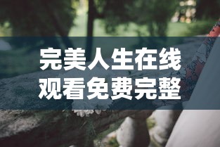 完美人生在线观看免费完整版  第1张
