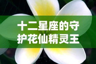 十二星座的守护花仙精灵王  第1张