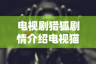 电视剧猎狐剧情介绍电视猫  第1张