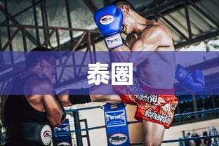 泰圈  第1张