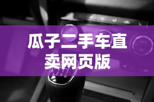 瓜子二手车直卖网页版  第1张