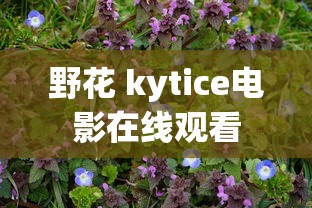 野花 kytice电影在线观看  第1张