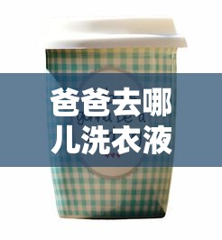 爸爸去哪儿洗衣液多少钱一瓶  第1张