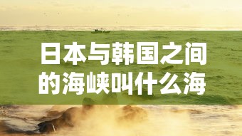 亲爱的回家电视连续剧免费播放  第1张